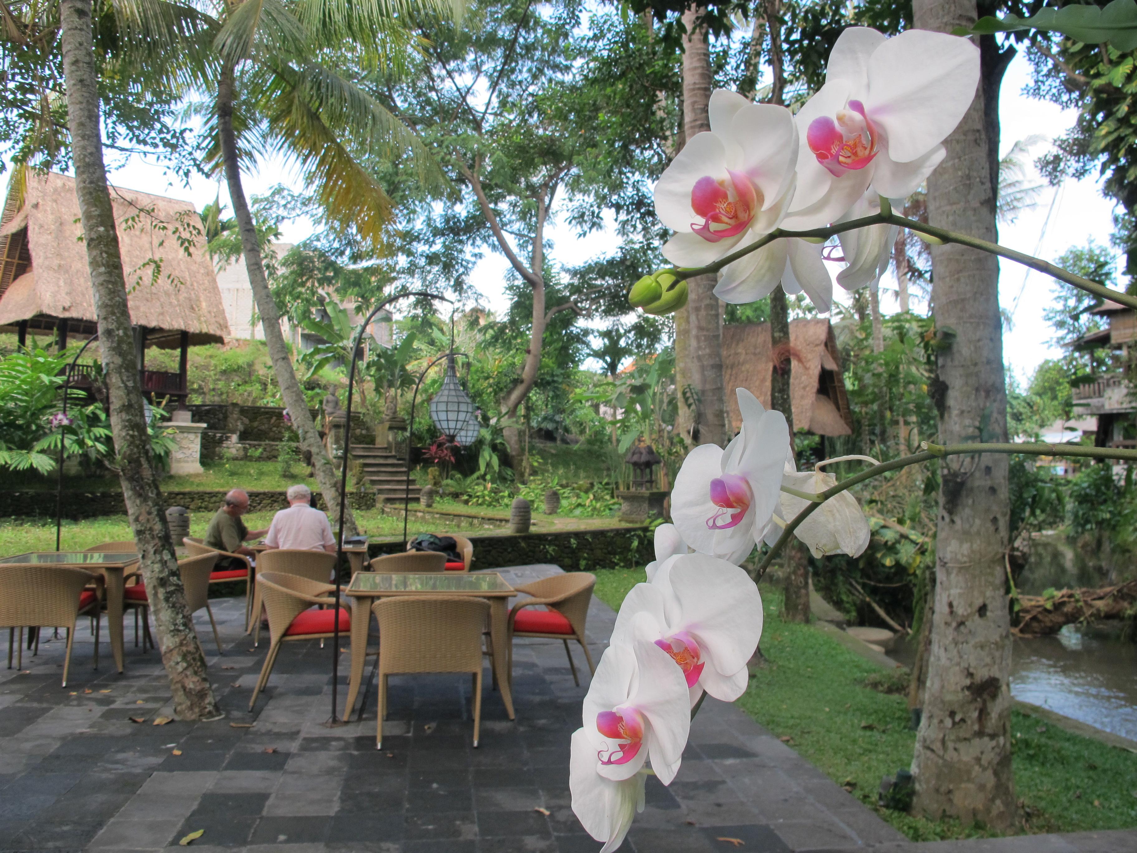 Arma Museum&Resort, CHSE Certified Ubud Exterior foto